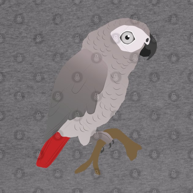 Cute African grey parrot vector by Bwiselizzy